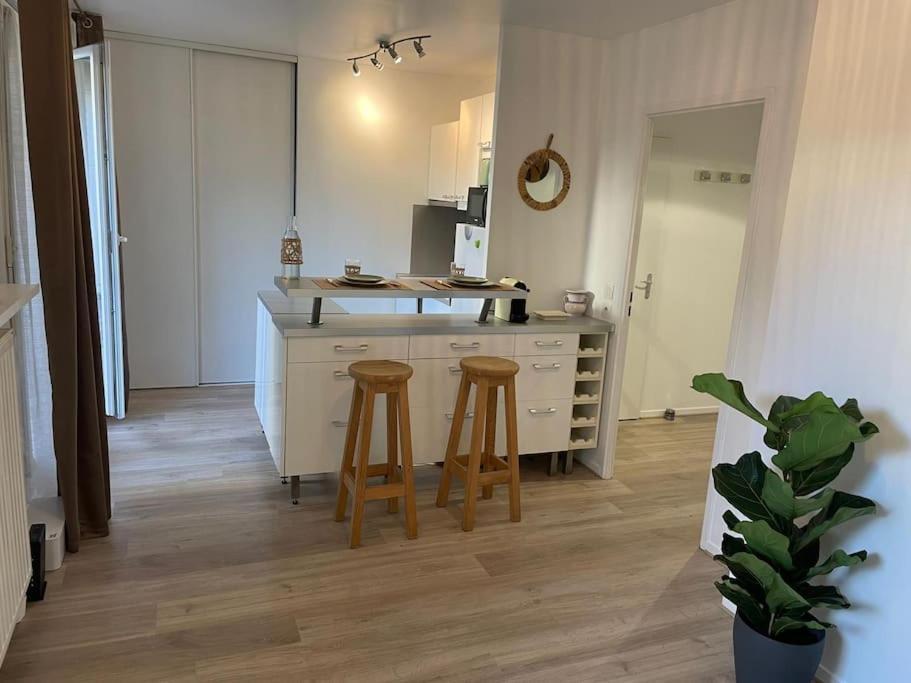 28 M2 & Jardin Privatif 20 M2
